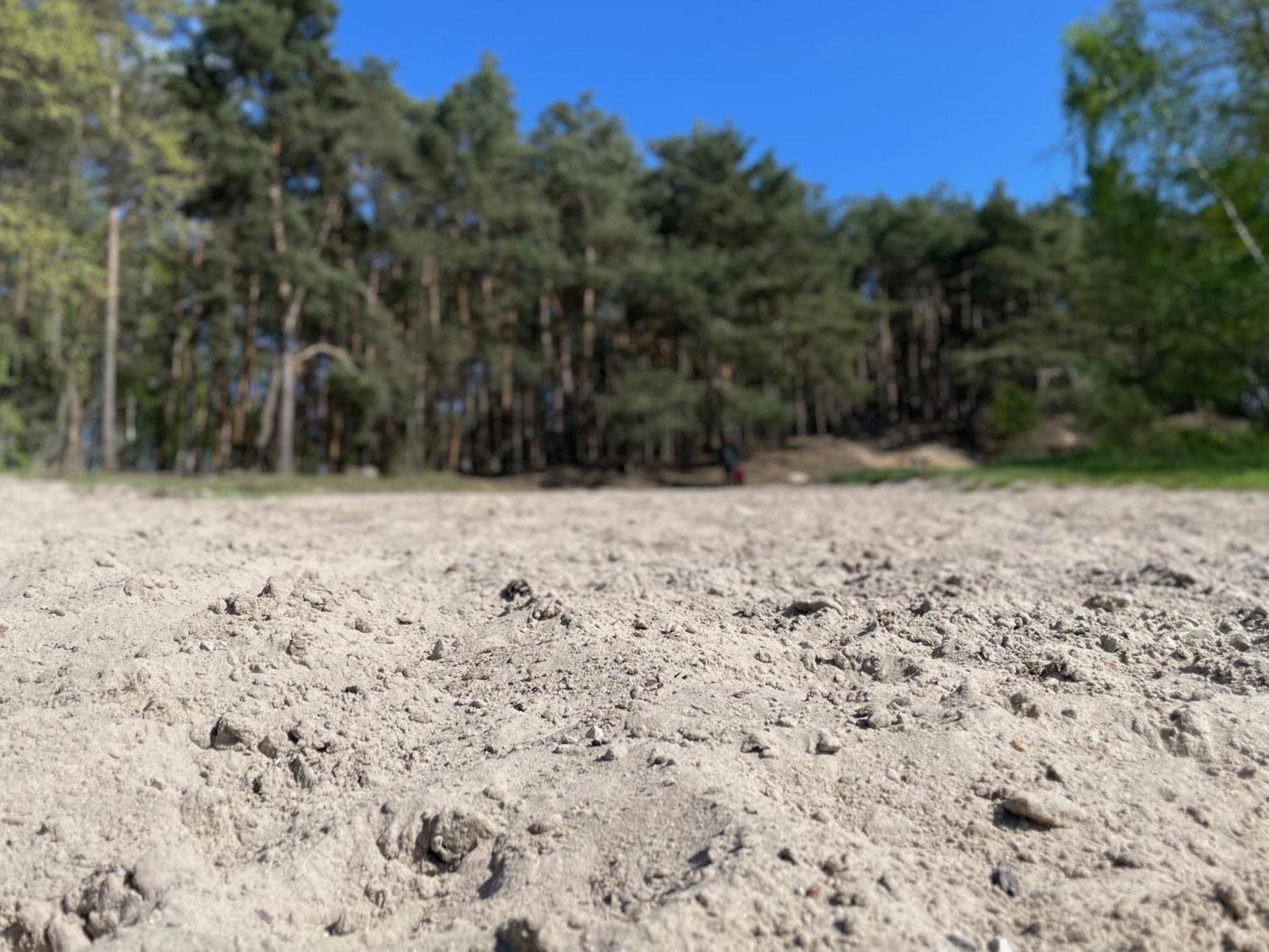 Natura Domki Anastazewo Dış mekan fotoğraf